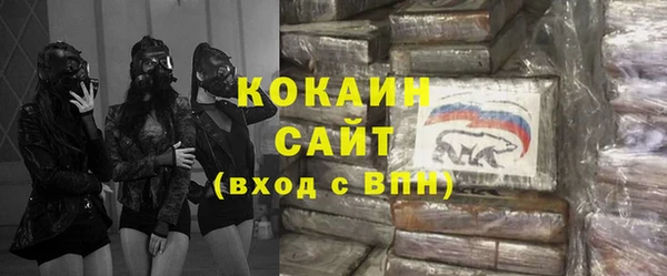 прущие грибы Абинск