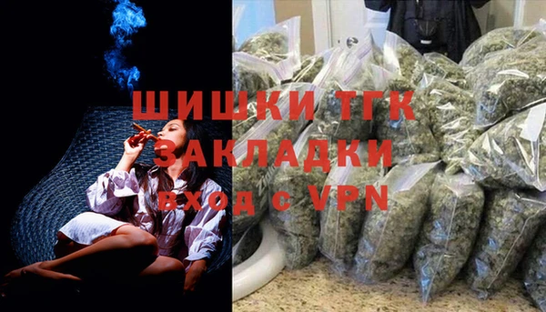 прущие грибы Абинск