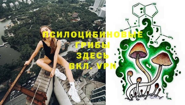 мдпв Приозерск