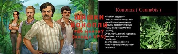 прущие грибы Абинск