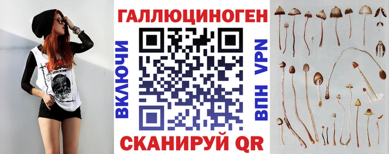 blacksprut   Истра  Псилоцибиновые грибы прущие грибы  продажа наркотиков 